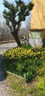 Casa vacanza Cascina Ronco- Natura e Relax vicino lago di Como - Erba - 4