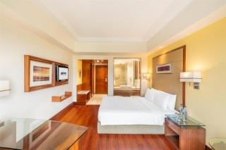 Park Inn Gurgaon - Gurgaon - 2