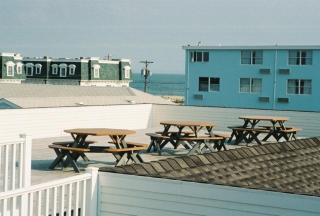 Driftwood Dream Unit 12 - Cape May - 8