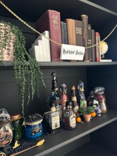 PET Friendly Wizarding World Stay 2 KING BEDS - 8