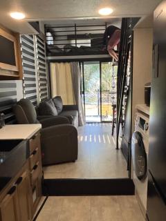 Timberwolf in the Park - 6