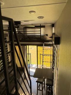 Timberwolf in the Park - 2