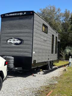 Timberwolf in the Park - 8