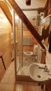 Chalet Familial spacieux et chaleureux - Abondance - 1