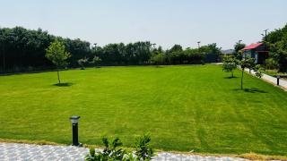 Utsav Farm by Sk Event - Greater Noida - 7