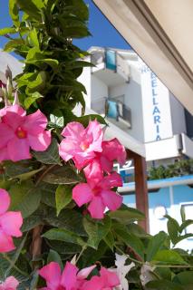 Hotel Bellaria - 3