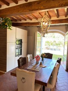 La coccinella gialla - 1