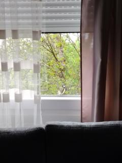 ODMOR PRESEKA - REST HOUSE PRESEKA - 8