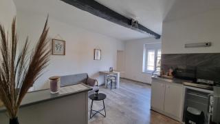 "Jade" centre-ville T2 rénové cocon cosy parking ! - 1