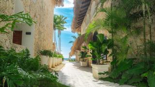 Tribe Resort - Guayacanes - 4