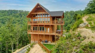 A Baby Bear, Free Tickets, NO CATCH! - Sevierville - 7