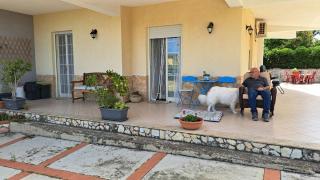 Villa Alba - Mandra Capreria - 7