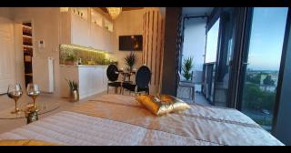 Diamond class 2 Hanza Tower - 2