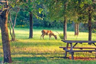 2br Texas Countryside Home w Hot Tub - Marble Falls - 7