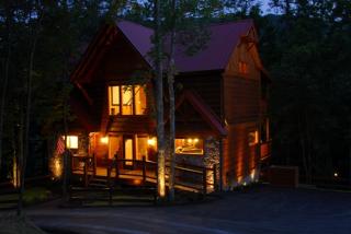 A Swimmin' Bear, free tickets, no catch! - Pigeon Forge - 9