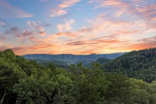 Bare Fu't Chateau, free tickets, no catch! - Pigeon Forge - 3