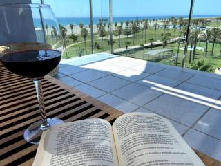 Beachfront duplex penthouse - Roquetas de Mar - 5