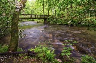 Moonlight Ridge by Avada Properties - Sevierville - 1