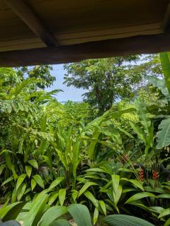 La Cusinga Lodge - Uvita - 9