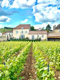 Hôtel particulier Adult Only Les Rêveries du clos Spa Dégustation et Diner sur reservation - Pommard - 2