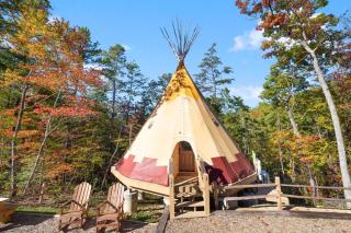 Bear Claw Teepee, Free Tickets, NO catch! - Sevierville - 0