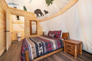 Bear Claw Teepee, Free Tickets, NO catch! - Sevierville - 7