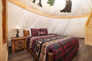 Bear Claw Teepee, Free Tickets, NO catch! - Sevierville - 6