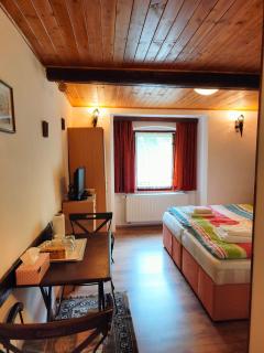 Bed and Breakfast Tvrz - Velká Bukovina - 4