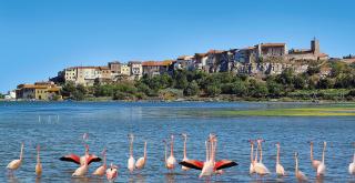 Lalagunebages, Panoramic View - Bages - 0