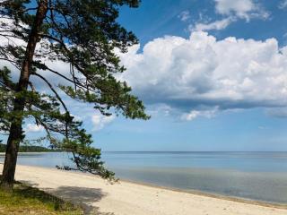 Seaside & Forest Hideaway - Ķesterciems - 9