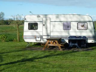 Camping De Stadsgaten - Rouveen - 0
