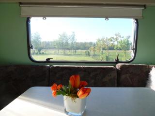 Camping De Stadsgaten - Rouveen - 4