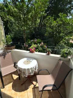 Apartments Jelena - Herceg Novi - 9
