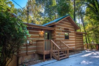 Honey Bear Hideaway by Avada Properties - 8