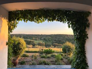 Herdade das Pintas - 7