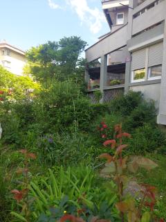 Apartman NAFO - Bihać - 9