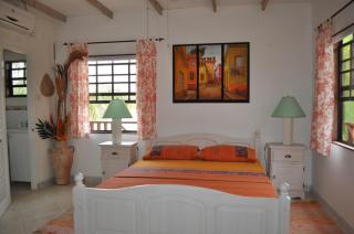 Yellow Bird Apartment - Christ Church - 0
