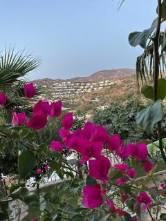 Bodrum sea view flower villa - Bodrum - 6