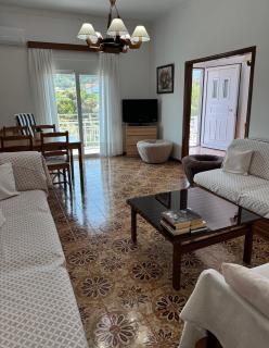 Lemon tree's house - 7