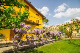 B&B I Narcisi - Spello - 3