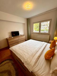 JAD - Familiy 4 Rooms Apartment - Near forest - Racadau - Braşov - 6
