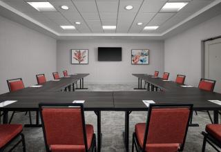 Hilton Garden Inn Tampa East Brandon - Tampa - 3