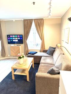 Stor attraktiv studioleilighet i sentrum - 6