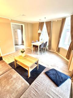 Stor attraktiv studioleilighet i sentrum - 4