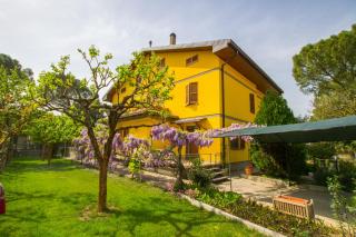 B&B I Narcisi - Spello - 4
