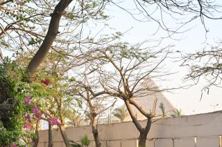 Villa Gem - Il Cairo - 9