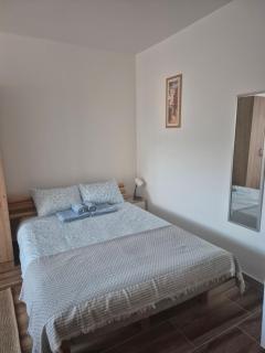 Vila RUŽA - House of Roses - Soko Banja - 8