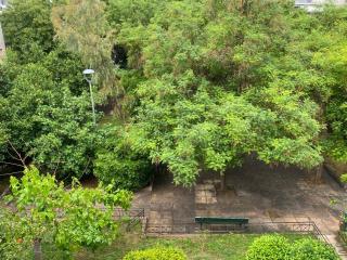 Zen home - Atene - 9