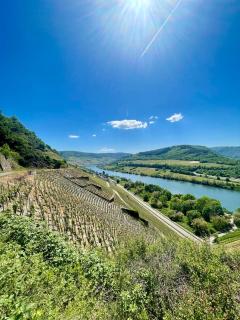 DAS AMBIENTE II - NEU - stilvoll, komfortabel, einzigartig - HERZLICH WILLKOMMEN - Zell an der Mosel - 8