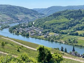 DAS AMBIENTE II - NEU - stilvoll, komfortabel, einzigartig - HERZLICH WILLKOMMEN - Zell an der Mosel - 9